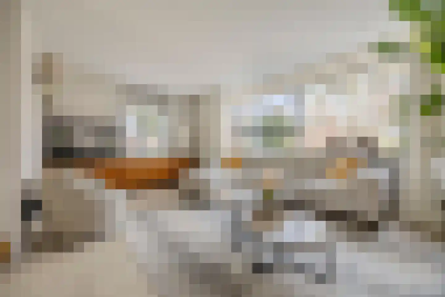 Koolwitje 2 Oosterhout thumbnail 5
