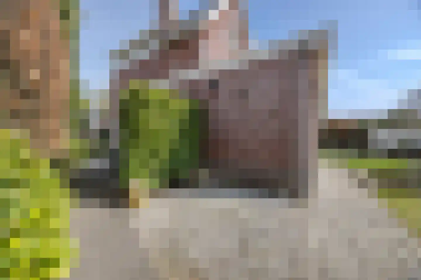 Koolwitje 2 Oosterhout thumbnail 51