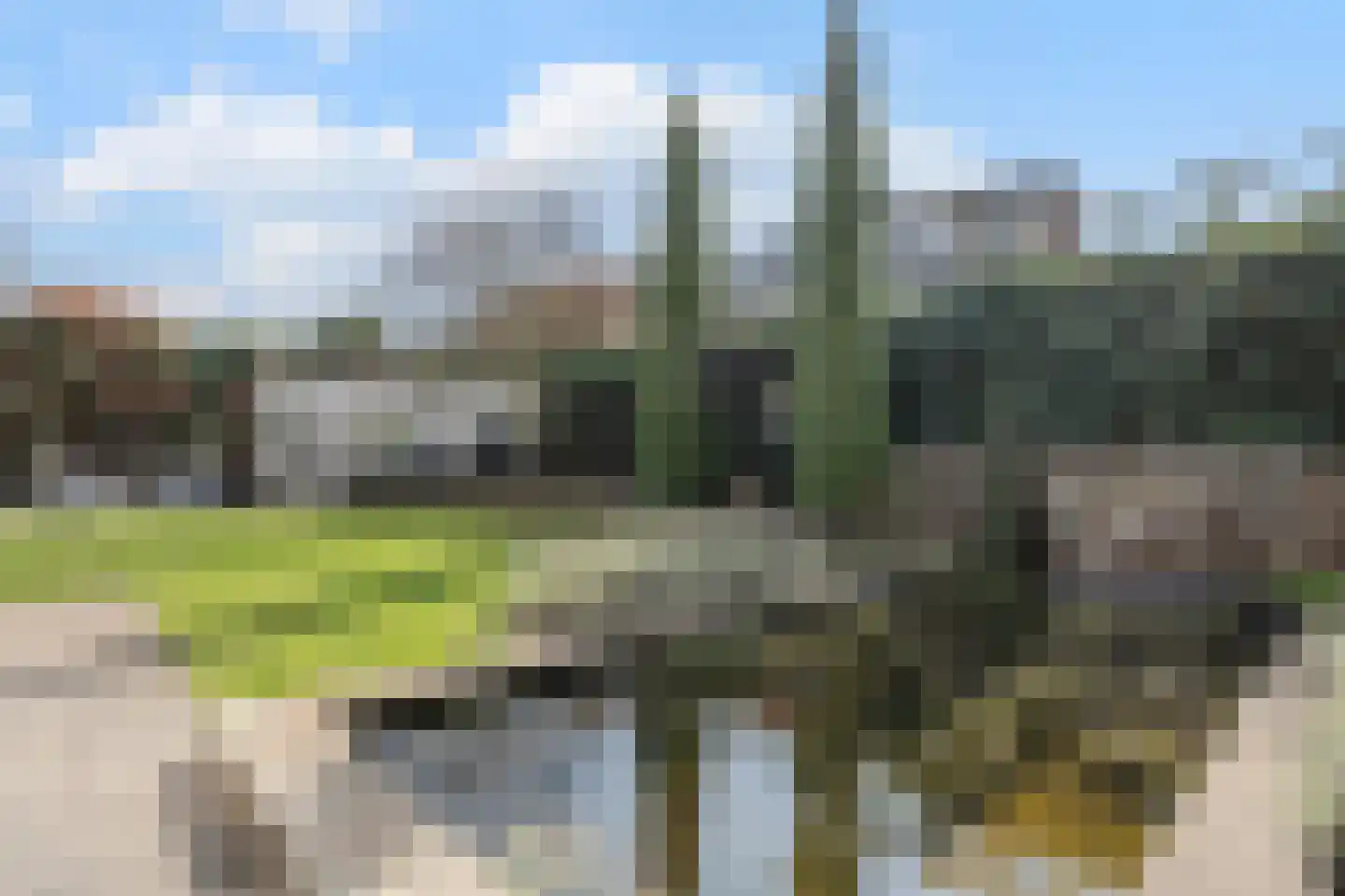 Koolwitje 2 Oosterhout thumbnail 52