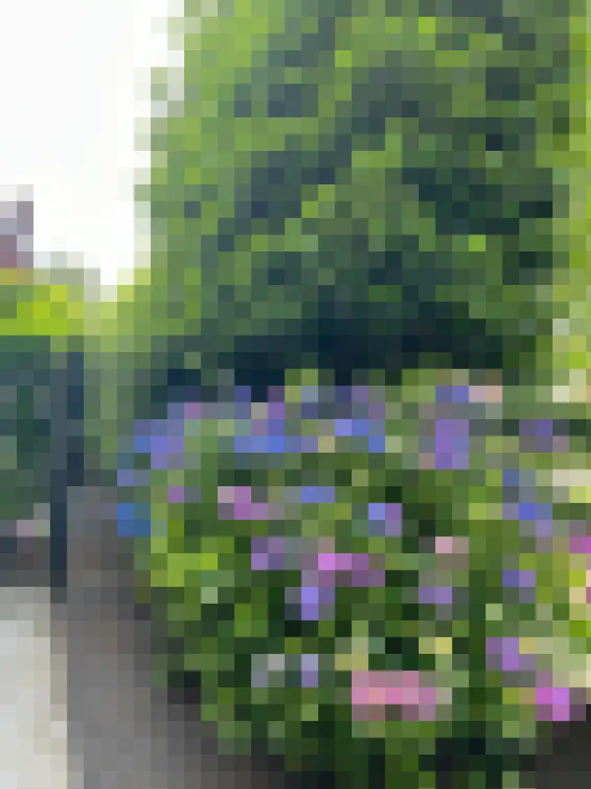 Koolwitje 2 Oosterhout thumbnail 53