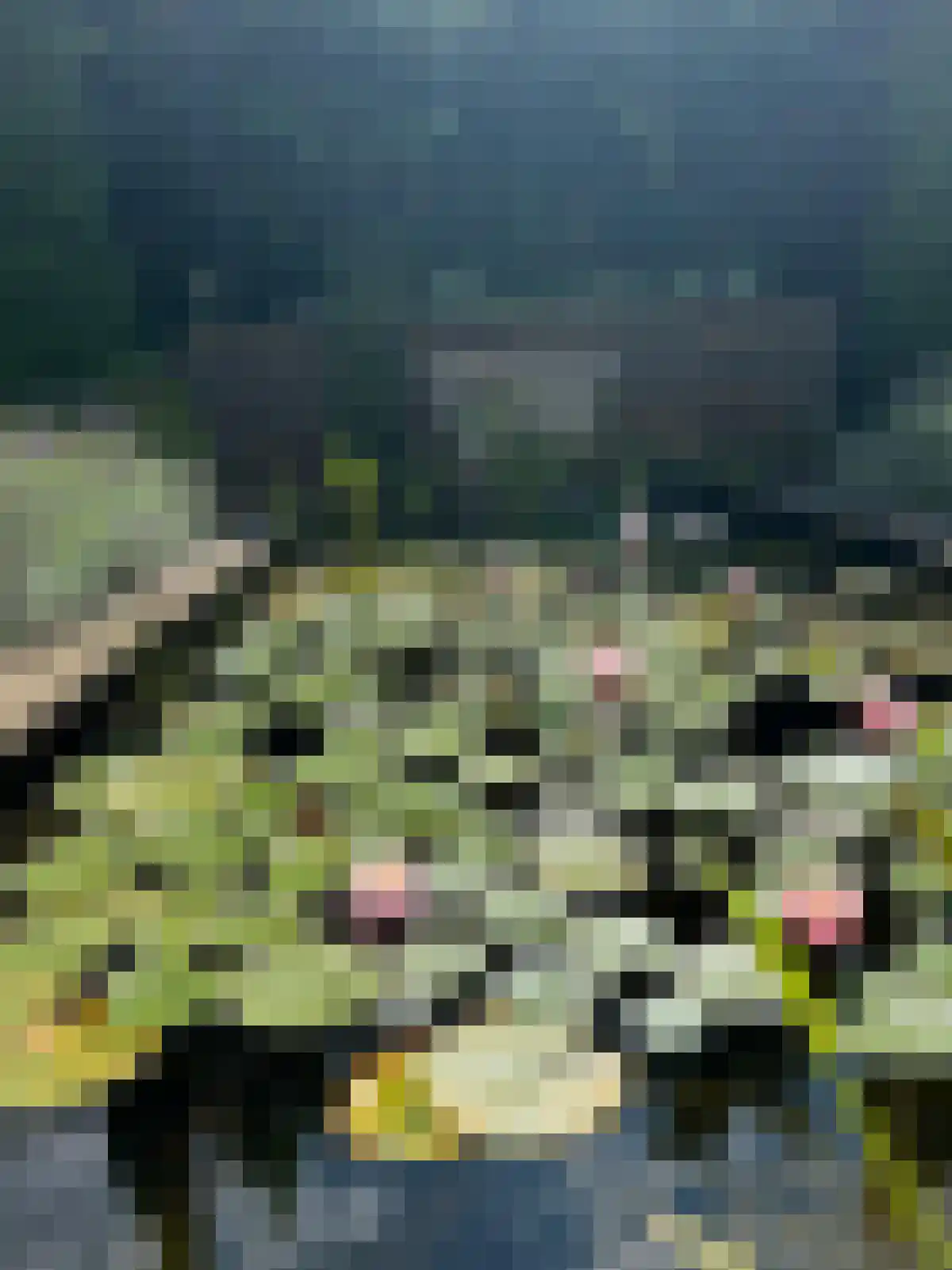 Koolwitje 2 Oosterhout thumbnail 54