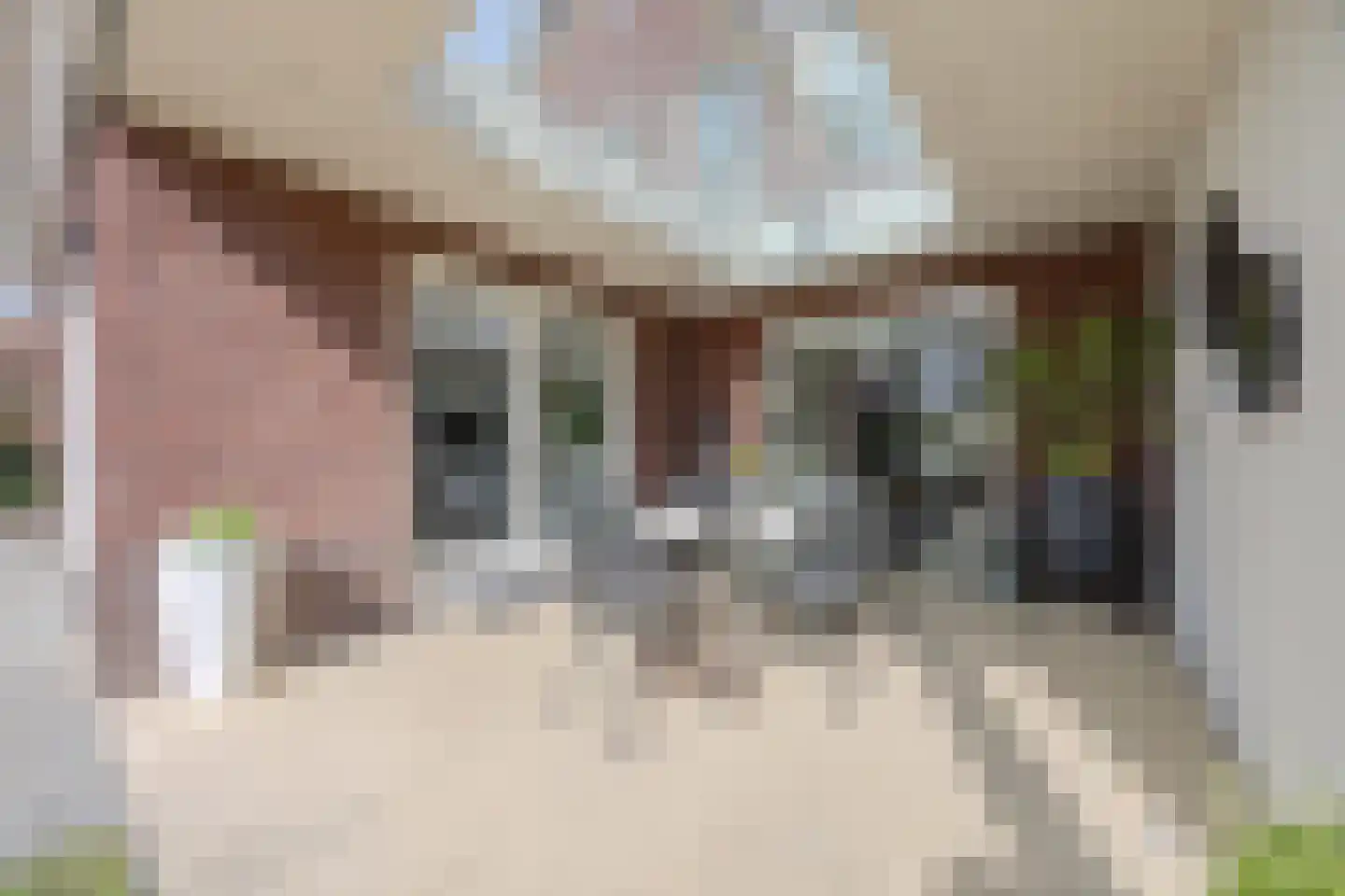 Koolwitje 2 Oosterhout thumbnail 55