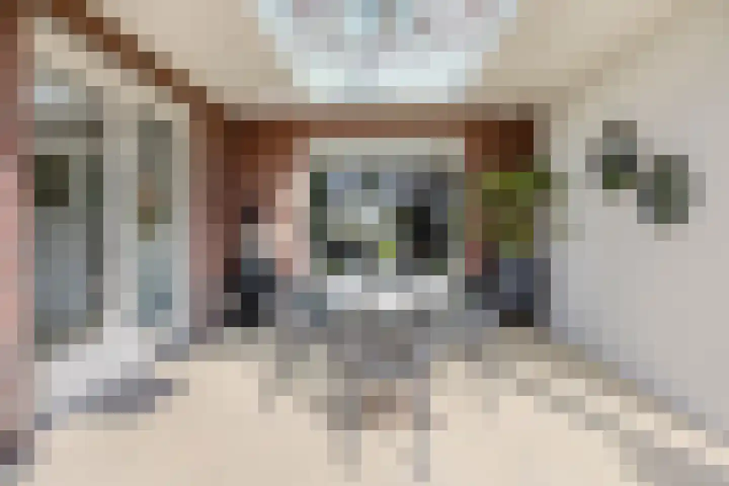 Koolwitje 2 Oosterhout thumbnail 56