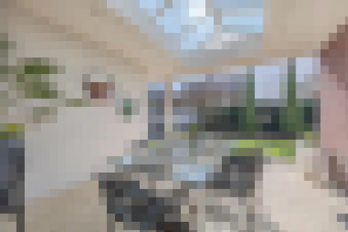 Koolwitje 2 Oosterhout thumbnail 57