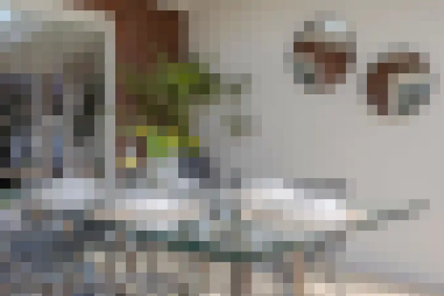 Koolwitje 2 Oosterhout thumbnail 58