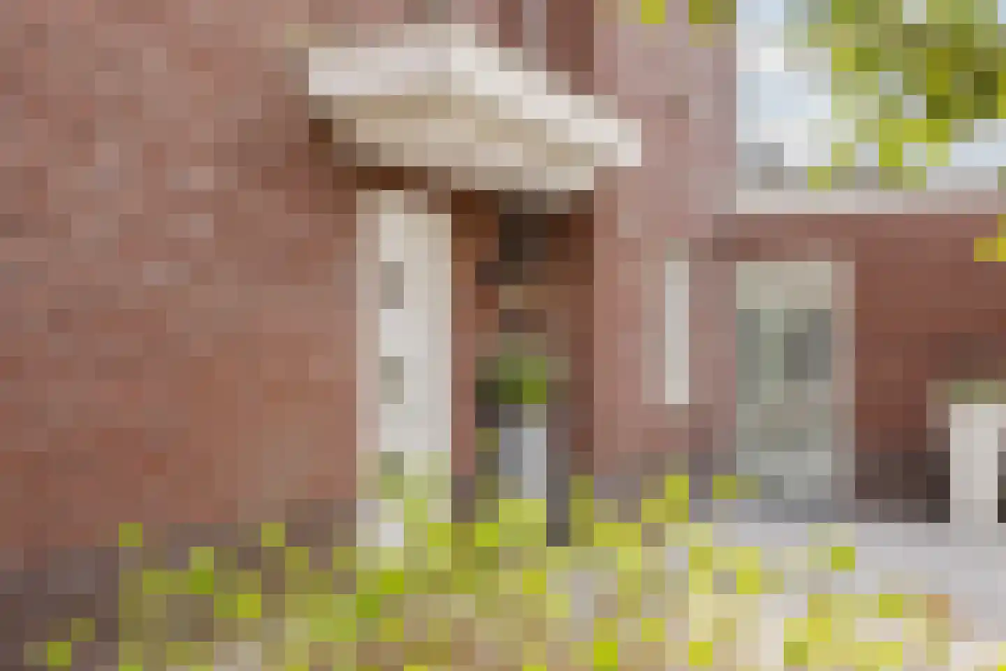 Koolwitje 2 Oosterhout thumbnail 61