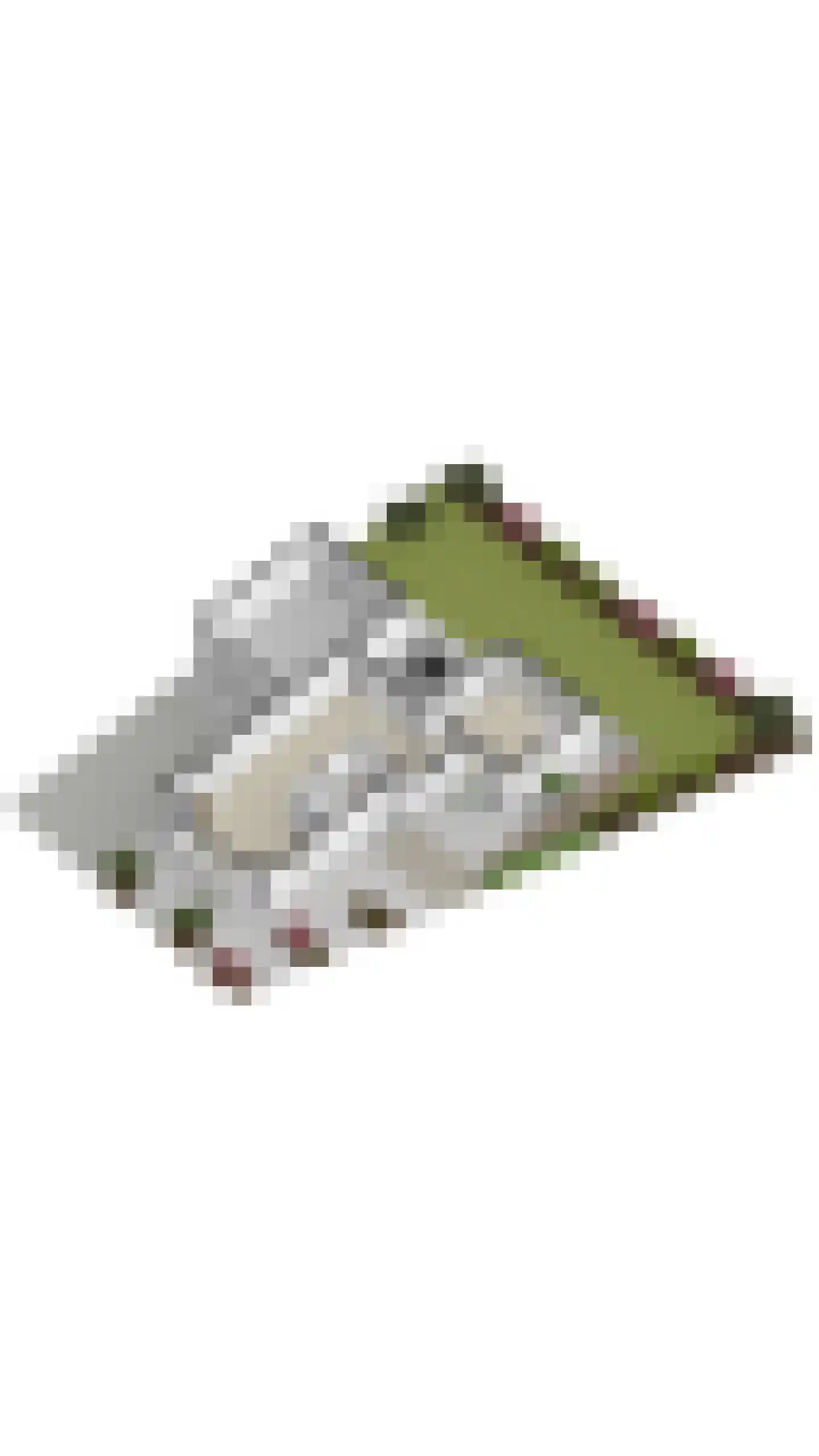 Koolwitje 2 Oosterhout thumbnail 69