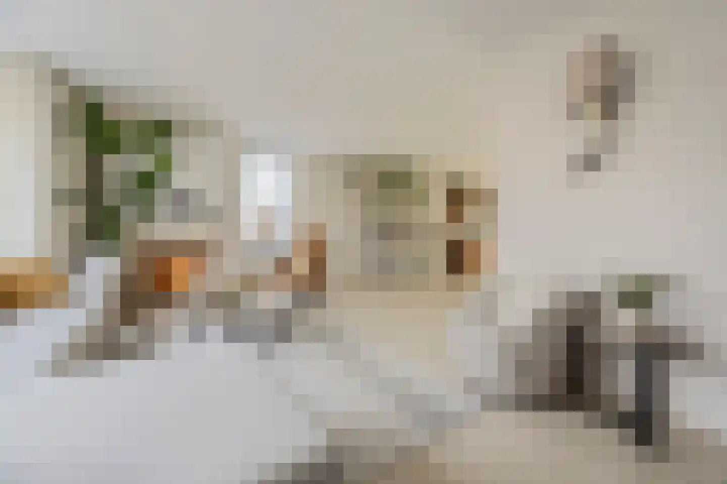 Koolwitje 2 Oosterhout thumbnail 7