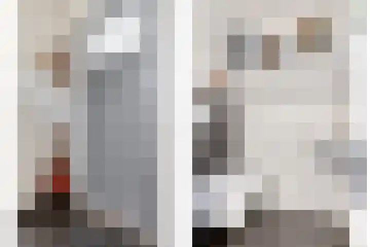 Koolwitje 2 Someren thumbnail 12