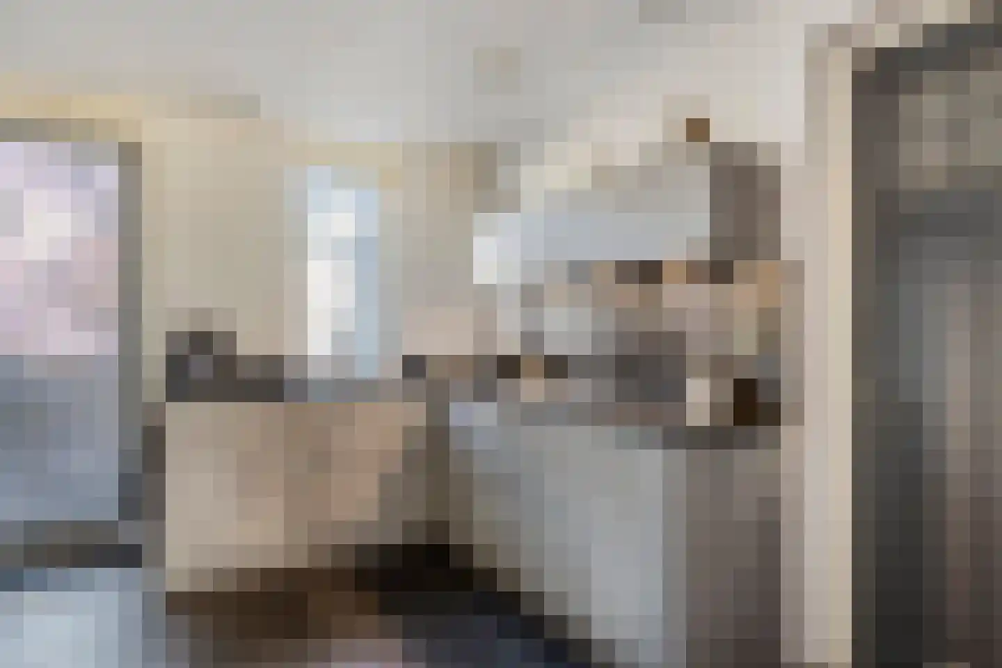 Koolwitje 2 Someren thumbnail 19