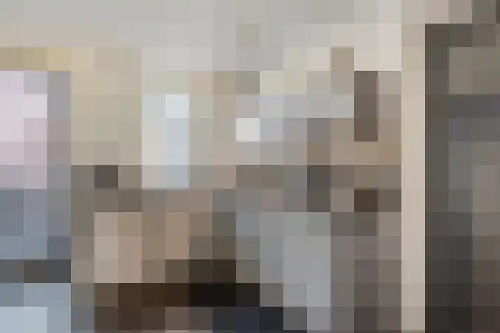 Koolwitje 2 Someren thumbnail 19