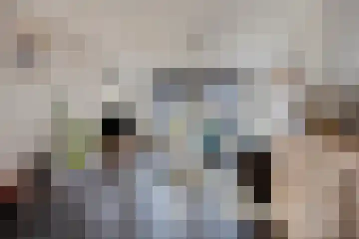 Koolwitje 2 Someren foto 2