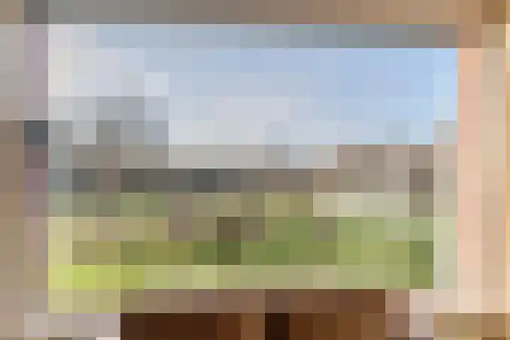 Koolwitje 2 Someren thumbnail 28