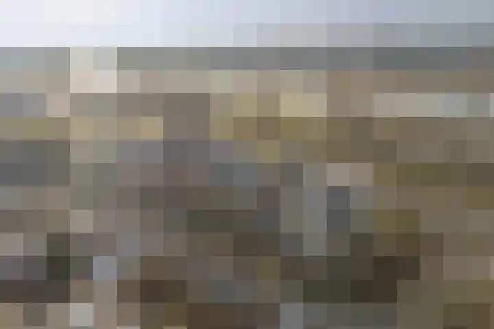 Koolwitje 2 Someren thumbnail 41