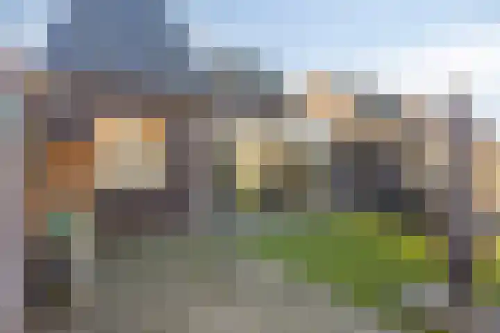 Koolwitje 2 Someren thumbnail 43