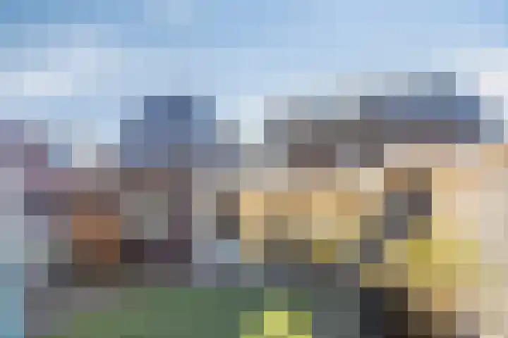 Koolwitje 2 Someren thumbnail 44