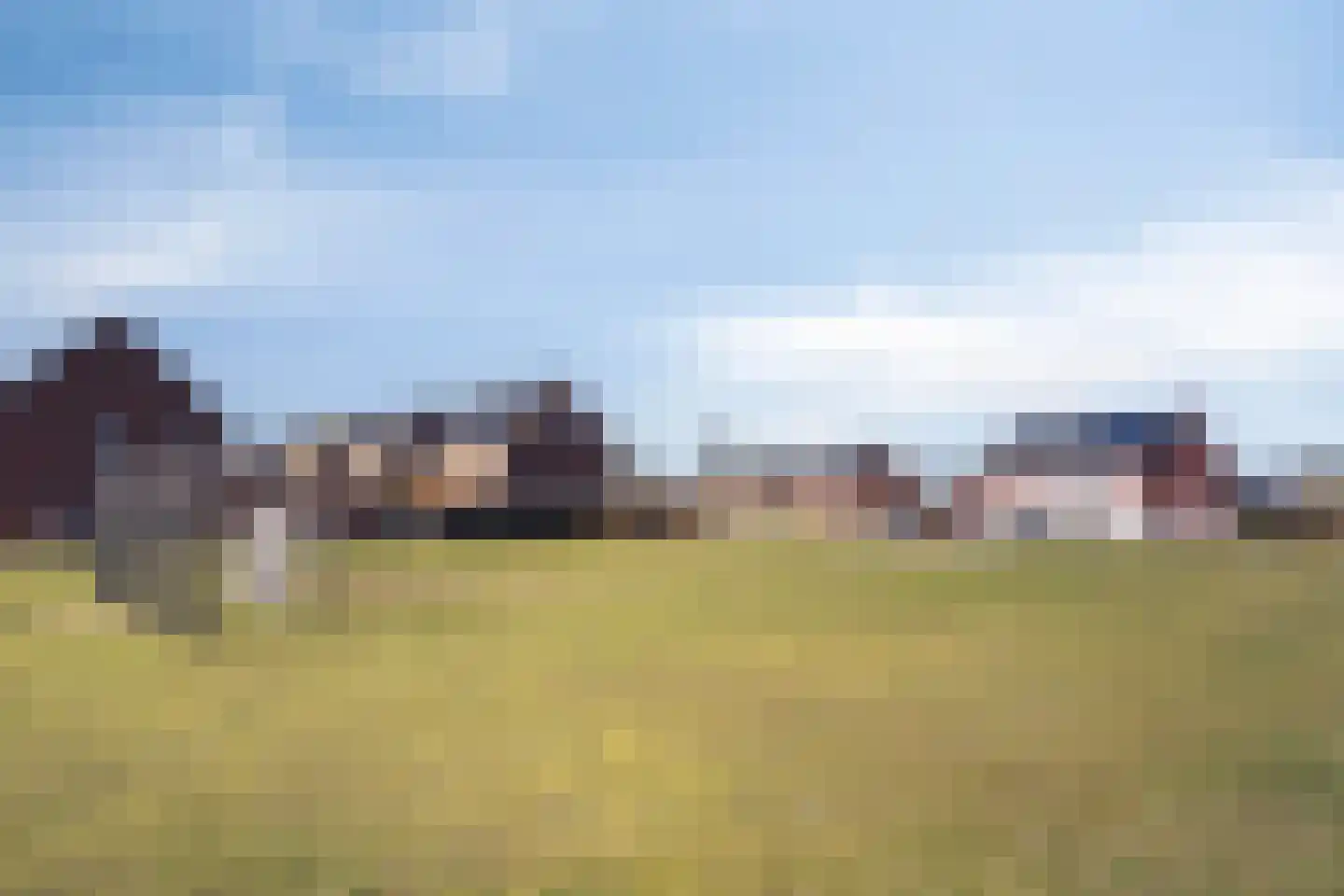 Koolwitje 2 Someren thumbnail 45