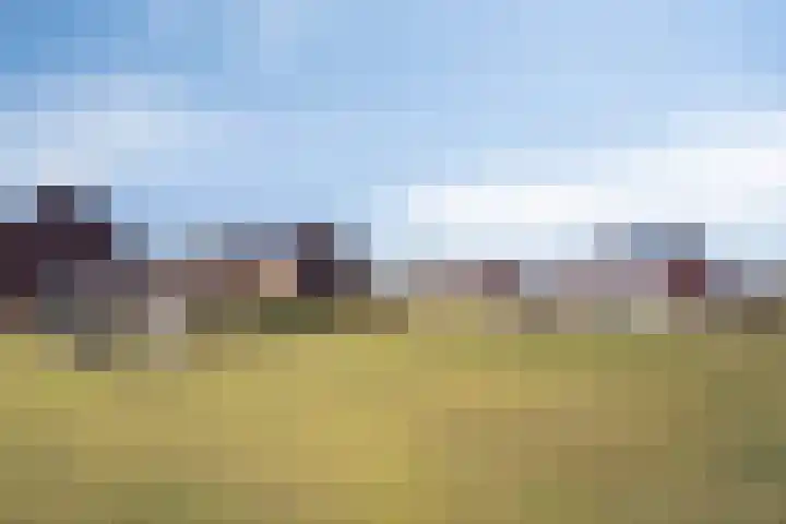 Koolwitje 2 Someren thumbnail 45