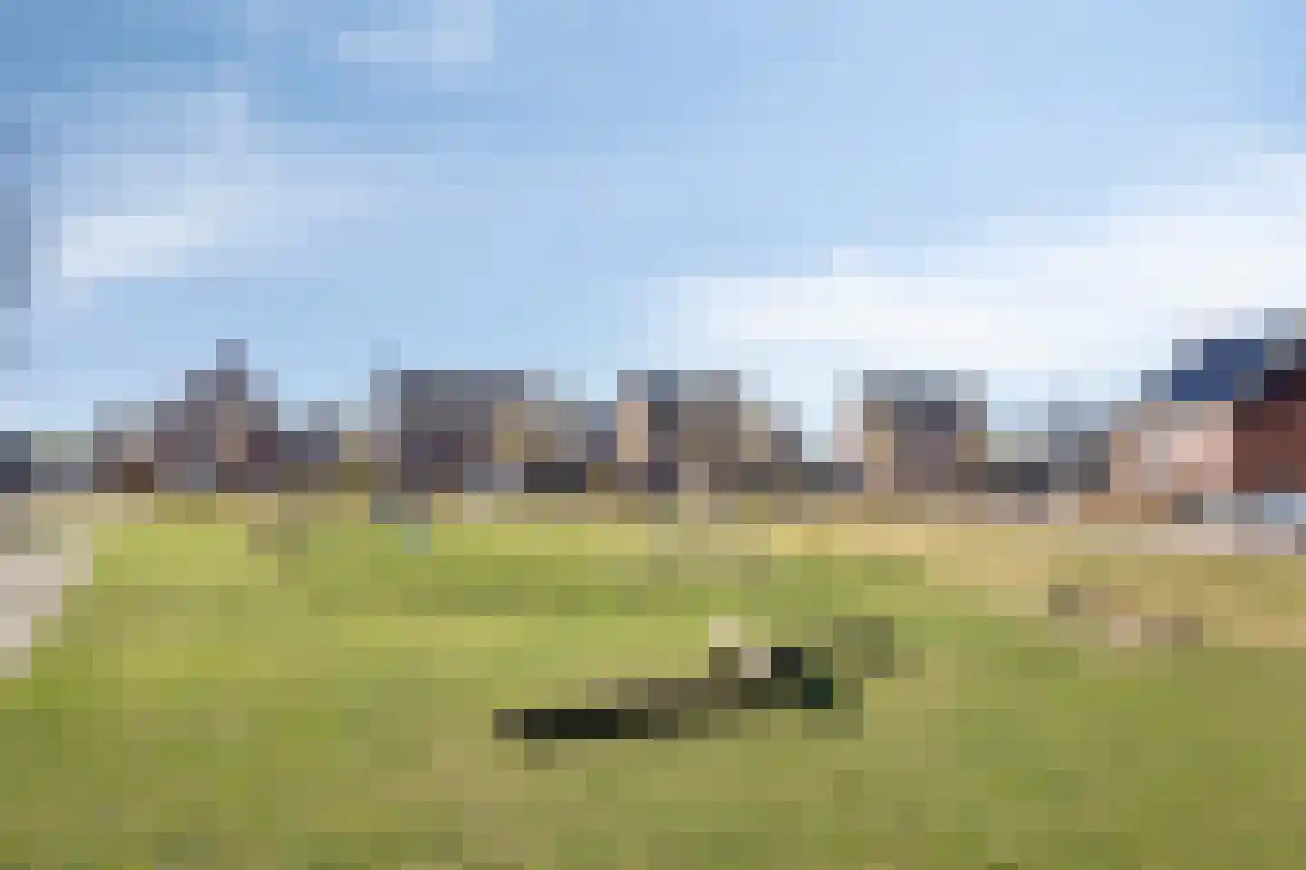 Koolwitje 2 Someren thumbnail 46