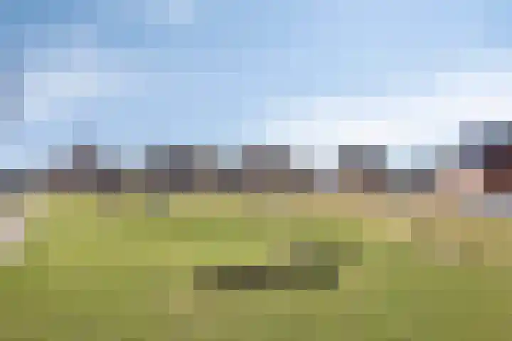 Koolwitje 2 Someren thumbnail 46