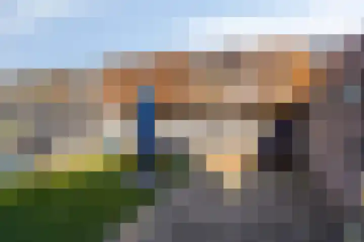 Koolwitje 2 Someren thumbnail 6