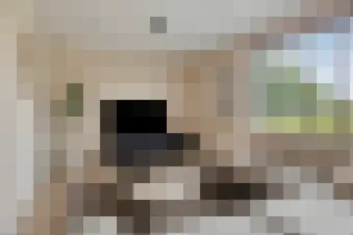 Koolwitje 20 Hengelo thumbnail 10