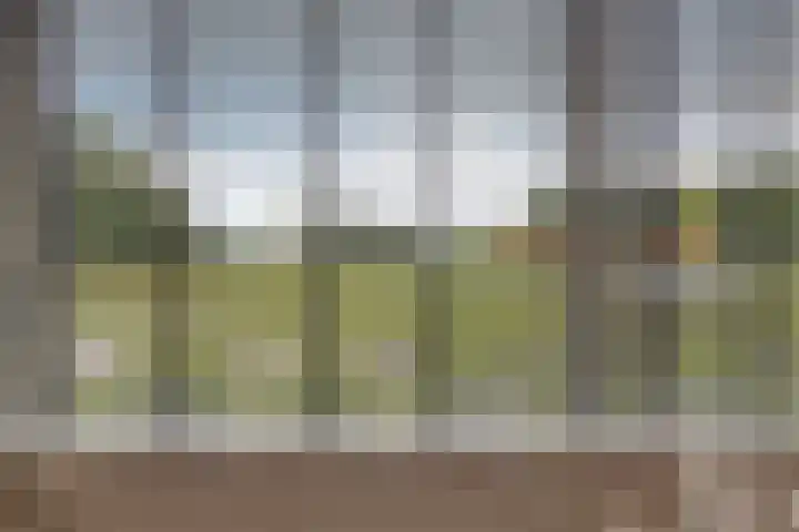 Koolwitje 20 Hengelo thumbnail 12