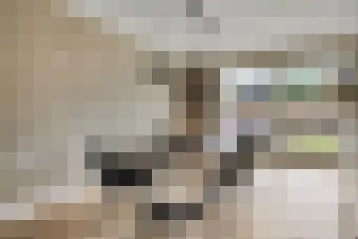 Koolwitje 20 Hengelo thumbnail 16