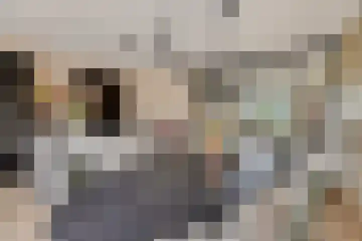 Koolwitje 20 Hengelo thumbnail 20