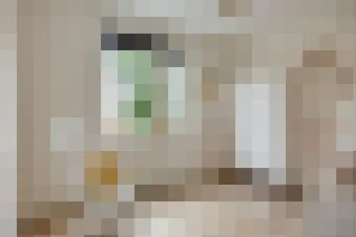 Koolwitje 20 Hengelo thumbnail 31