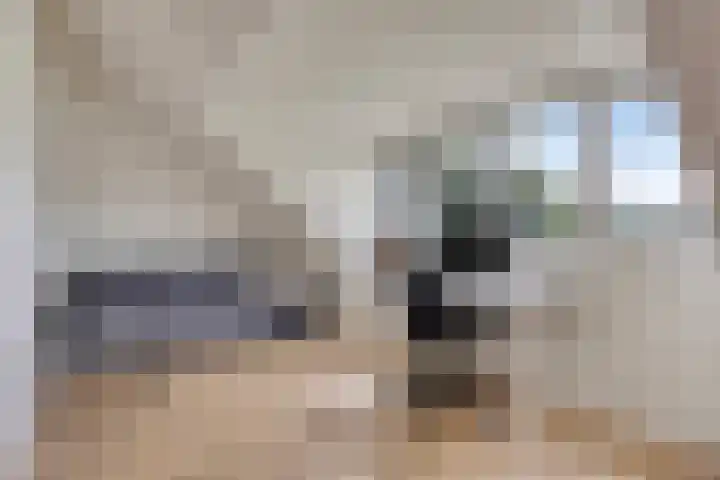Koolwitje 20 Hengelo thumbnail 38