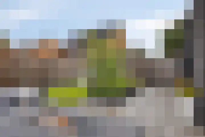 Koolwitje 20 Hengelo thumbnail 44
