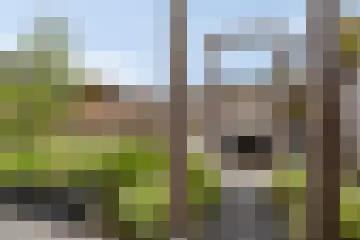 Koolwitje 20 Hengelo thumbnail 46
