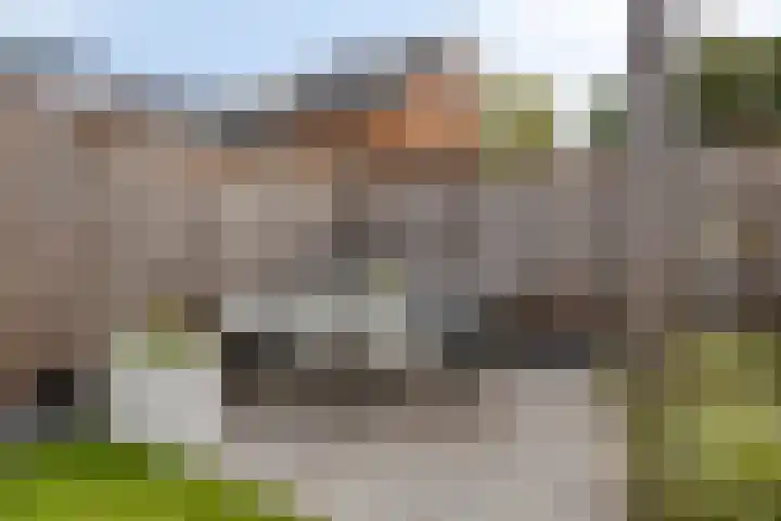 Koolwitje 20 Hengelo thumbnail 47