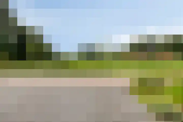 Koolwitje 20 Hengelo thumbnail 49