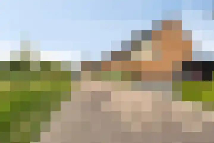 Koolwitje 20 Hengelo thumbnail 51