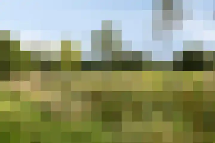 Koolwitje 20 Hengelo thumbnail 52