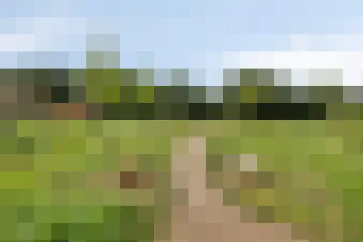 Koolwitje 20 Hengelo thumbnail 53
