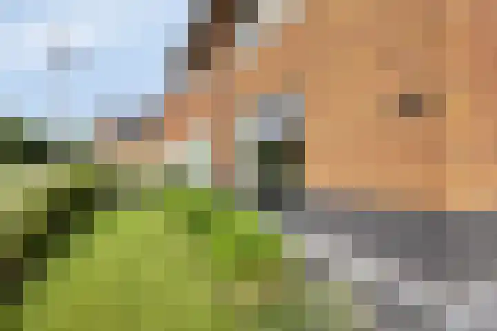 Koolwitje 20 Hengelo thumbnail 7