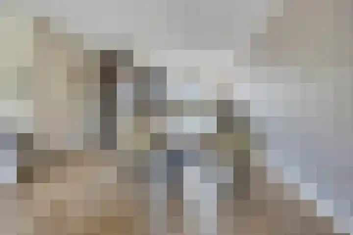 Koolwitje 21 Apeldoorn thumbnail 10