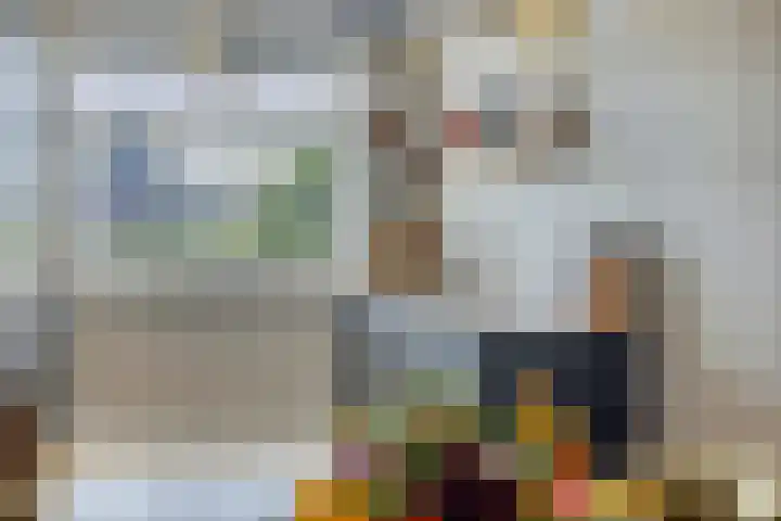 Koolwitje 21 Apeldoorn thumbnail 11