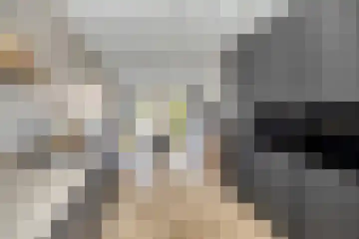 Koolwitje 21 Apeldoorn thumbnail 13