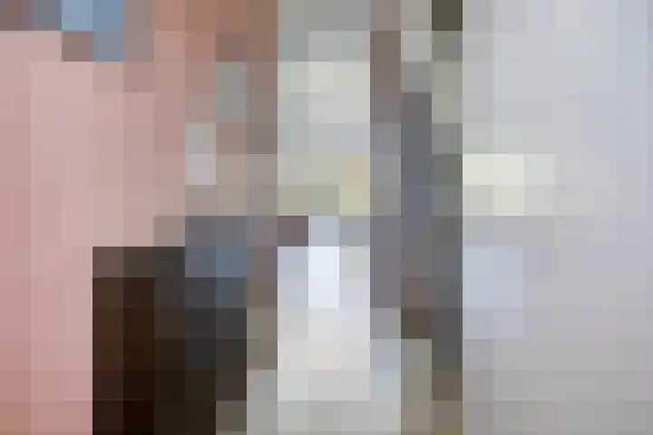 Koolwitje 21 Apeldoorn thumbnail 15