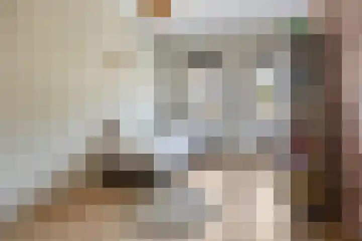 Koolwitje 21 Apeldoorn thumbnail 18