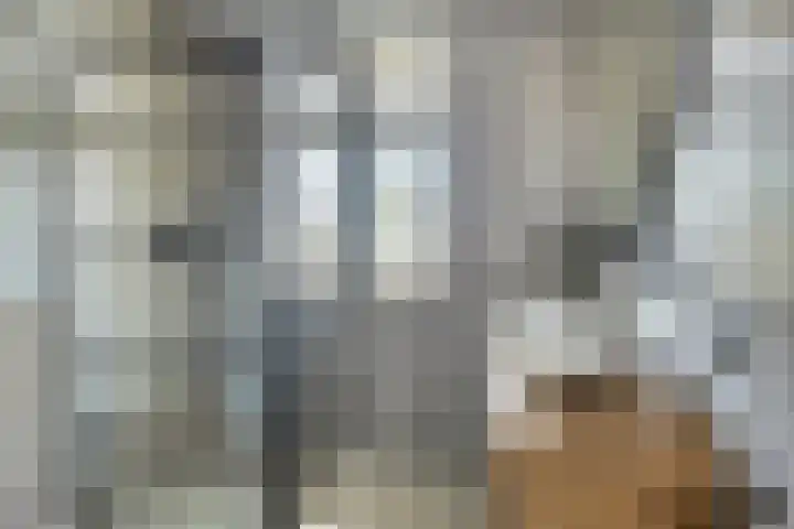 Koolwitje 21 Apeldoorn thumbnail 20