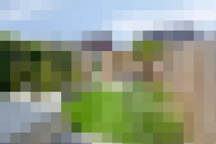 Koolwitje 21 Apeldoorn thumbnail 28