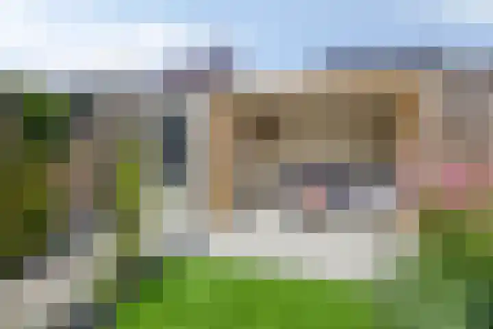 Koolwitje 21 Apeldoorn thumbnail 29