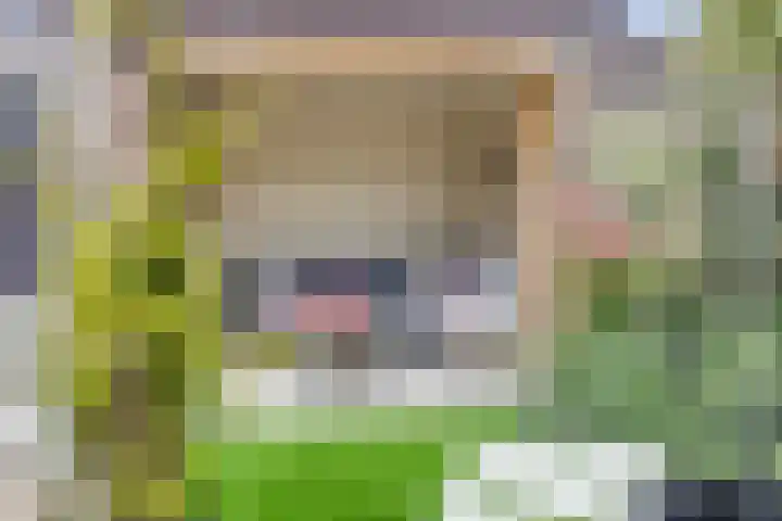 Koolwitje 21 Apeldoorn thumbnail 31