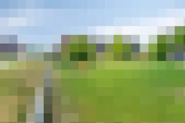 Koolwitje 21 Apeldoorn thumbnail 38