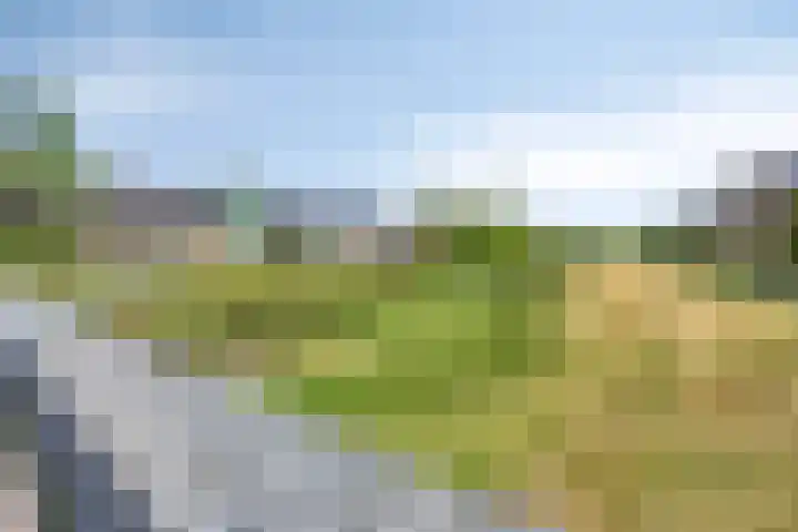 Koolwitje 21 Apeldoorn thumbnail 39